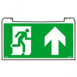 Pictogramme Practice...