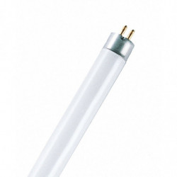 Fluo Osr Basict5 Mini 6W...