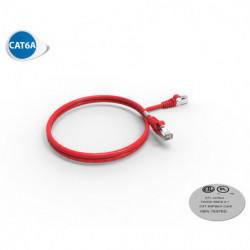 Cordon RJ45 CAT6A SFTP 100...