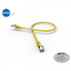 Cordon RJ45 CAT6A SFTP 100...