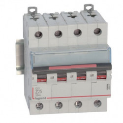 Disjoncteur DX 25 kA courbe...