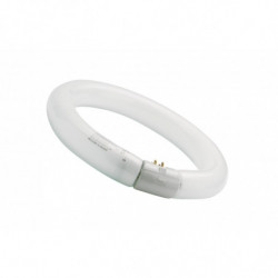 T9 Circline HR 22W 865 G10q...