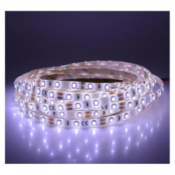 Bandeau LED 6000K 5 m 60...