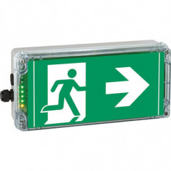 EXIT N PR - B.A.E.S...