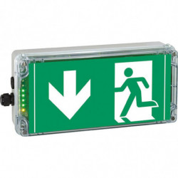 EXIT N PU - B.A.E.S...
