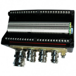 BJ 12 Paires armées Ex i -...
