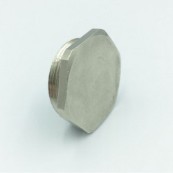 Bouchon plat 6 pans - Pg 13...