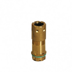 Presse-étoupe BVLE FS2 +...