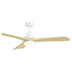 Ventilateur plafond...