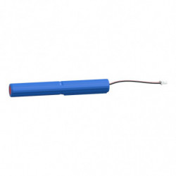Exiway - batterie LifePO4 -...
