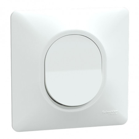 Ovalis - bouton poussoir à fermeture - 10AX - Blanc - griffes montées - plaque (S321206)