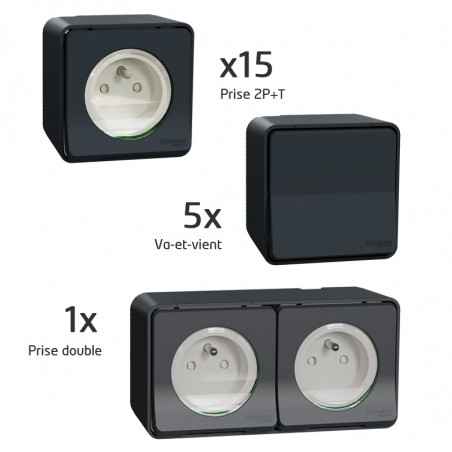 Probox Mureva 15 PC + 5 VV + 1 PC double (PFRB13)