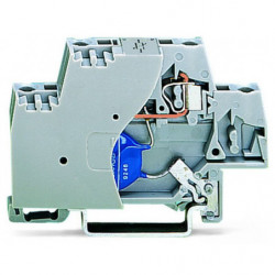 Borne avec varistor et...