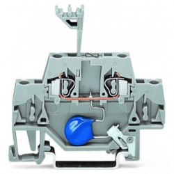 Borne avec varistor et...