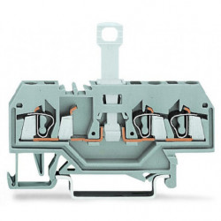 Borne sectionnable 3C / 2,5...