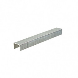 Agrafes T50/10MM 5000PC...