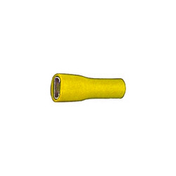 Fiche femelle jaune pour...