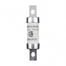 INDR'L FUSE 100A 600V...