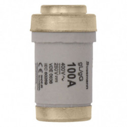 FUSE-D03 100A T GL/GG...