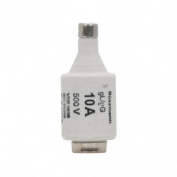 FUSE-D2 10A T GL/GG 500VAC...