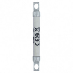 10A 690V AC BS88 SEMI (10FC)