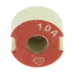 GAUGE PIECE D2 10A FOR E27...