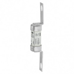 10AMP CANADIAN FUSE (10H07C)