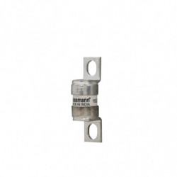 10A 240V TYPE T FUSE (10)...