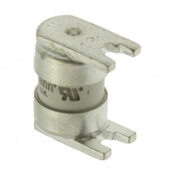 125Amp TYPE T FUSE (125LEC)