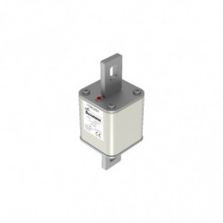 FUSE 100A 500V TP 405 AR...