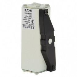 FUSE 100A 750V DC gR...