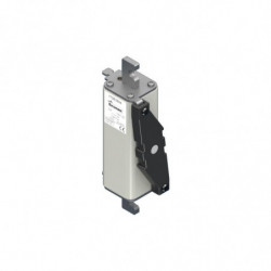 FUSE 80A 750V 1*EK/155 GDC...