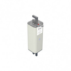 FUSE 100A 1600V 1TN/170 AR...