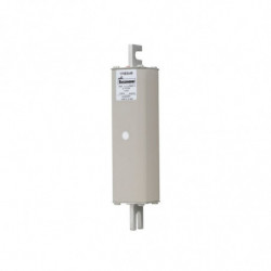 FUSE 100A 2500V 1/210 AR...