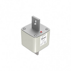 FUSE 450A 500V TP 605 AR...