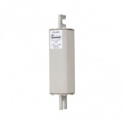 FUSE 100A 2000V 1*/170 AR...