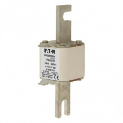 FUSE 250A 660V 1*STN/110 AR...