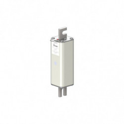 FUSE 160A 2000V 1TN/170 AR...