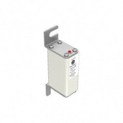 FUSE 250A 1000V 00T/110 AR...