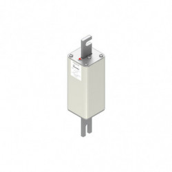 FUSE 450A 2000V 2S/210 AR...