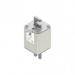 FUSE 450A 2000V 2TN/170 AR...
