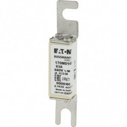 FUSE 63A 660V 0000/80 AR UR...