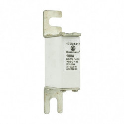 FUSE 100A 690V 000TN/80 AR...
