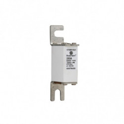 FUSE 250A 690V 000TN/80 AR...