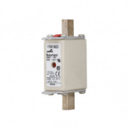 FUSE 32A 690V gR DIN 000...