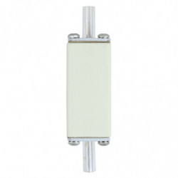 FUSE 40A 690V gR DIN 000...