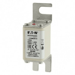 FUSE 100A 690V 00/80 AR UR...