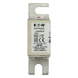 FUSE 125A 690V 00/80 AR UR...