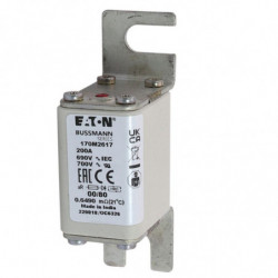 FUSE 200A 690V 00/80 AR UR...