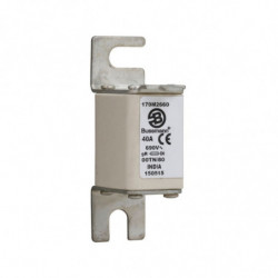 FUSE 40A 690V 00TN/80 GR...